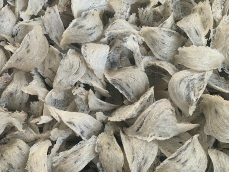 MUA BÁN YẾN SÀO TOÀN QUỐC