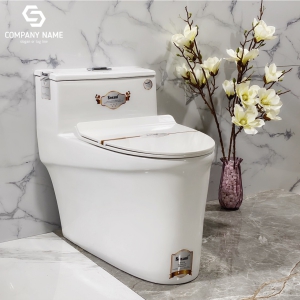 CẦU KHỐI SOSANI31