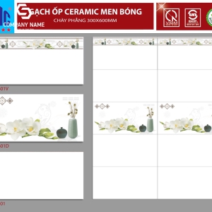 Gạch ốp tường (30x60) LD3601 men bóng 