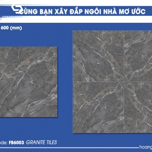 Gạch lát nền (60×60) HP.FB6003 đá bóng kính