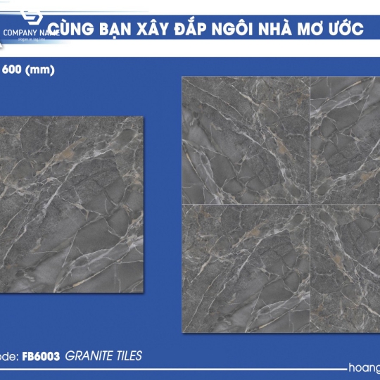 Gạch lát nền (60×60) HP.FB6003 đá bóng kính